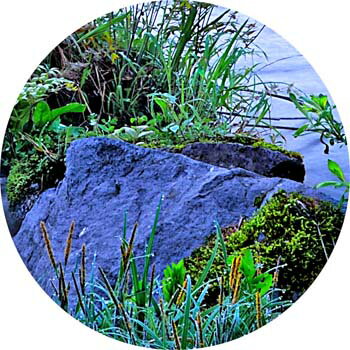 風景写真パネル 福島 裏磐梯 新緑の長瀬川 側...の紹介画像2