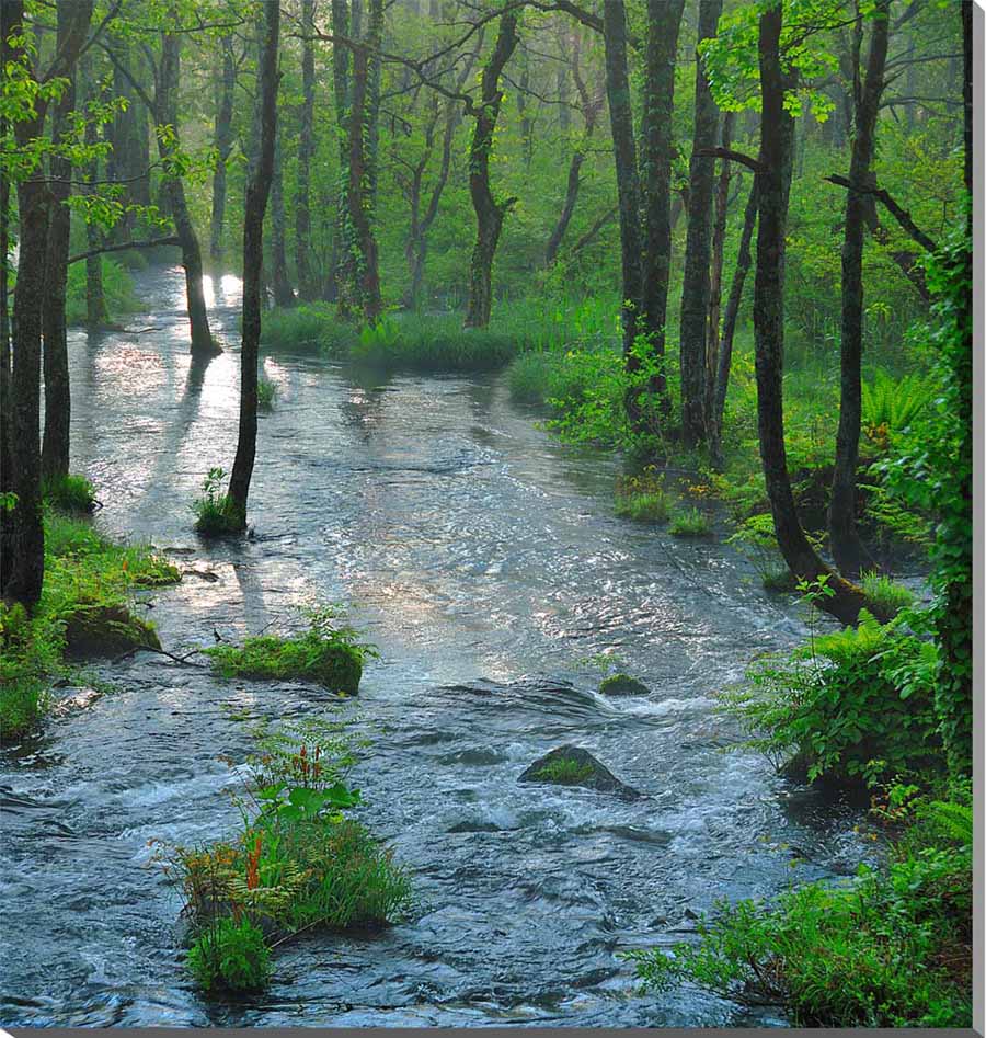 風景写真パネル 福島 猪苗代 新緑の長瀬川 森林浴 癒し オシャレ モダン インテリア アートパネル パネル 写真 プレゼント ギフト お礼 お祝い 結婚 新築...