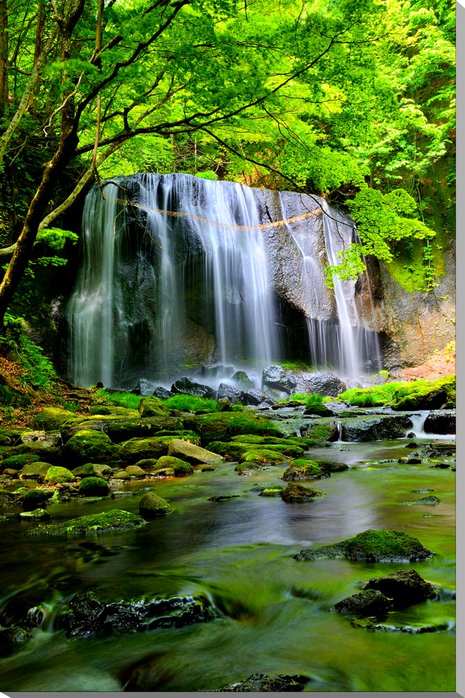 風景写真パネル 福島 猪苗代 達沢不動滝 男滝 アートパネル インテリア パネル アートフレーム 写真 壁掛け 額要らず 壁飾り 雰囲気作り 模様替え リビング オフィス 玄関 旅の思い出 風水 ギフト プレゼント お礼 お祝い プレゼント 結婚 新築 出産 記念日 fuk-264-P40