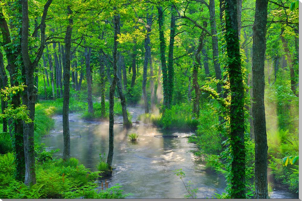 風景写真パネル 福島 裏磐梯 朝日に照る長瀬川 側面画像あり アートパネル ウォールデコ インテリア パネル 写真 プレゼント ギフト お祝い 結婚祝い 新築祝い 誕生日祝い 記念日 壁飾り 壁掛け 額要らず 模様替え 雰囲気作り 風水 玄関 リビング オフィス fuk-269-m50skm