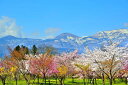 楽天写真パネルのあぁとすぺーすつくば風景写真パネル 福島 庭坂 吾妻の雪ウサギ インテリア 写真 パネル プレゼント ギフト お祝い 結婚祝い 新築祝い 引っ越し祝い 誕生日祝い 記念日 旅の思い出 fuk-319-m50