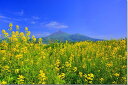 風景写真パネル 福島 菜の花と磐梯山 ボタニカル プレゼント ギフト 贈答品 返礼 お祝い 結婚 新築 引っ越し 誕生日 記念日 年祝い グラフィック ウォールアート インテリア オシャレ 模様替え 雰囲気作り リビング ダイニング オフィス 玄関 fuk-371-b2