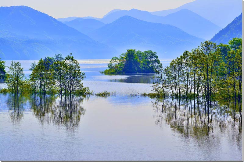 風景写真パネル 福島 裏磐梯 新緑の秋元湖 アートパネル グラフィックアート ウォールデコ インテリア ..