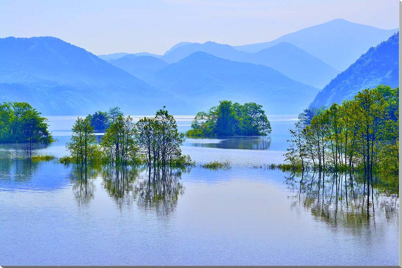 風景写真パネル 福島 裏磐梯 新緑の秋元湖 アートパネル インテリア パネル 写真 壁飾り 壁掛け 額要らず 模様替え 雰囲気作り 風水 玄関 リビング オフィ...