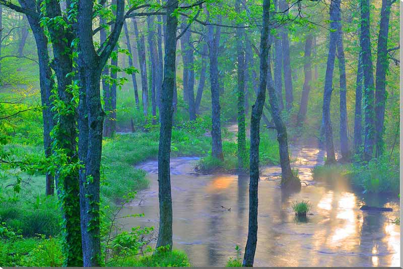 風景写真パネル 福島 猪苗代 朝日に光る長瀬川と水鳥 オシド
