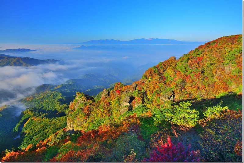 風景写真パネル 福島 伊達市 雲海の安達太良吾妻と紅葉に映える霊山 側面画像あり 大自然 解放感 霊山 安達太良 パネル 写真 インテリア 壁飾り 壁掛け 額要らず 模様替え 雰囲気作り 風水 玄関 リビング オフィス ロビー fuk-442-m50skm