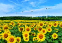 楽天写真パネルのあぁとすぺーすつくば風景写真パネル 福島県 【郡山 布引風の高原 ひまわり畑と風車 04】 向日葵インテリア ポスターとは違う リビング 玄関にそのまま飾れる額がいらない 壁掛け 壁飾り 絵画 アート アートパネル 癒やしの装飾をお祝い プレゼント ギフト 91×65.2cm nnb-01-P30