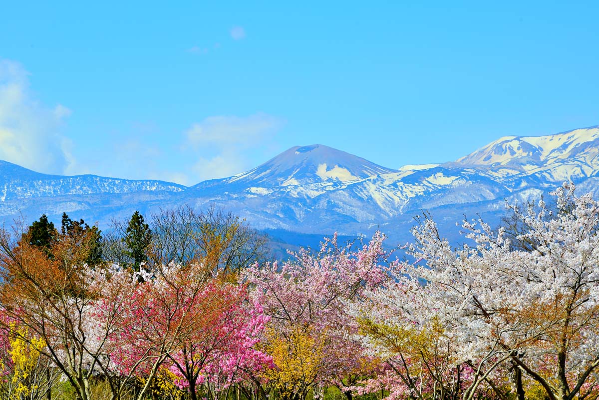 楽天写真パネルのあぁとすぺーすつくば風景写真パネル 福島 庭坂 吾妻の雪ウサギ インテリア アートパネル パネル 写真 春 うさぎ 兎 山 残雪 景色 壁飾り 壁掛け 額要らず 模様替え 雰囲気作り 風水 旅の思い出 リフォーム 新築 リビング オフィス 玄関 fuk-400-m25