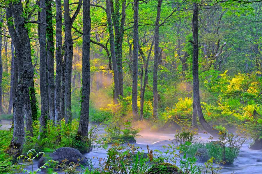 風景写真パネル 福島 猪苗代 初夏の長瀬川 02 インテリア パネル 写真 壁掛け 壁飾り 模様替え 雰囲気作り リビング ダイニング オフィス 玄関 FUK-...