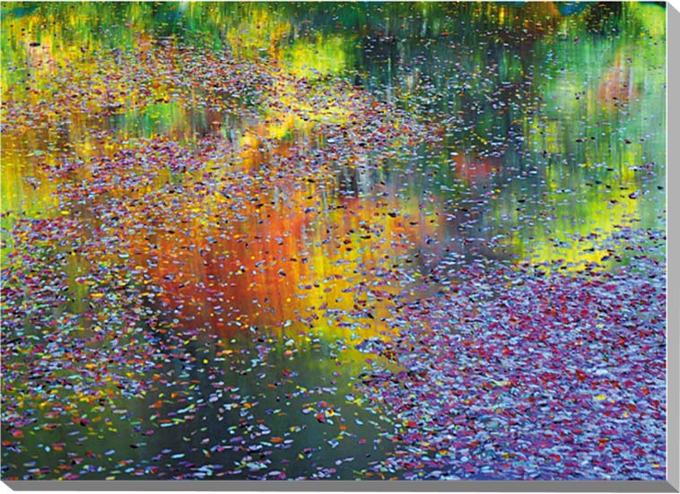 風景写真パネル 福島 いわき 四時川渓谷 (しどきがわけいこく) インテリア アートパネル ディスプレイ パネル 写真 プレゼント ギフト 贈答品 返礼 お祝い...