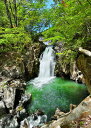 風景写真ポスター 福島 土湯 新緑の思いの滝 03 インテリア アートポスター 写真 春 初夏 景色 ポスター プレゼント ギフト お祝い 結婚祝い 新築祝い ...