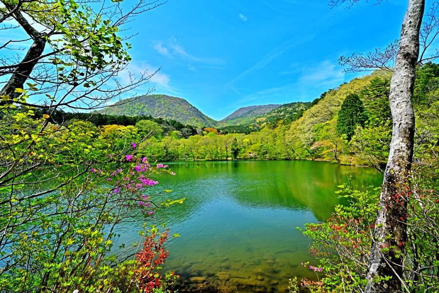 風景写真ポスター 福島 土湯 新緑の男沼01 インテリア アートポスター 写真 春 初夏 景色 ポスター プレゼント ギフト お祝い 結婚祝い 新築祝い 引っ越...