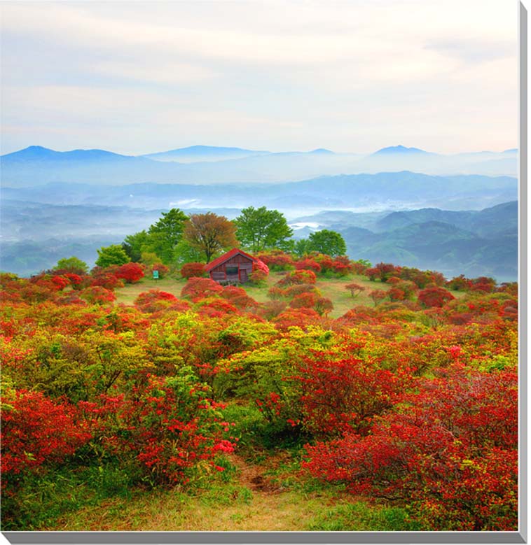 風景写真パネル 福島 高柴山 つつじ 5 プレゼント ギフト 贈答品 返礼 お祝い 結婚 新築 引っ越し 誕生日 記念日 年祝い FUK-66-S12