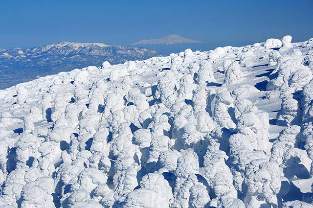 風景写真パネル 山形 蔵王 樹氷 スノーモンスター 冬 極寒 絶景 大自然 インテリア アートパネル ウォールデコ グラフィックアート パネル 写真 壁飾り 壁掛け 額要らず 模様替え 雰囲気作り 風水 旅の思い出 リビング オフィス 玄関 RAN-14-M30