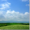 風景写真パネル 北海道 美瑛の風景 インテリア アートパネル グラフィック ディスプレイ 模様替え 雰囲気作り 新築祝い 引っ越し祝い 結婚祝い 誕生日プレゼン...