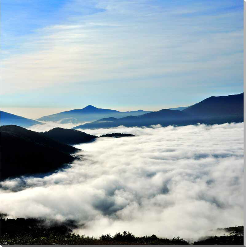 風景写真パネル 北海道 トマム 雲海 感動 絶景 幻想的 神秘的 大自然 雄大 ダイナミック 壁掛け 壁飾り 模様替え 額要らず お祝い プレゼント ギフト HOK-165-S25