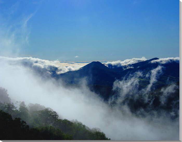 風景写真パネル 北海道 トマム 雲海 インテリア アートパネ