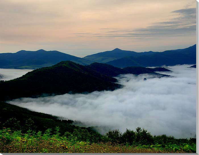 風景写真パネル 北海道 トマム 雲海 絶景 幻想的 神秘的 雄大 大自然 お祝い プレゼント ギフト 旅の思い出 壁掛け 壁飾り 額要らず 風水 HOK-71-...