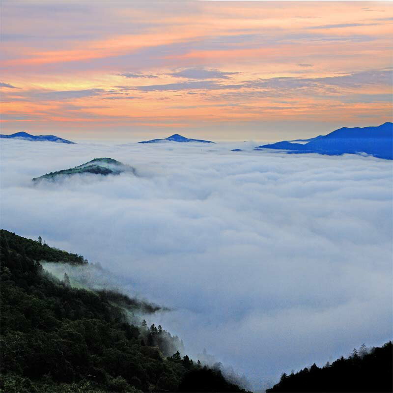 風景写真パネル 北海道 トマム 雲海 ウォールデコ アートパネル グラフィック インテリア 壁飾り 壁掛け 額要らず 模様替え 雰囲気作り 玄関 リビング オフ...