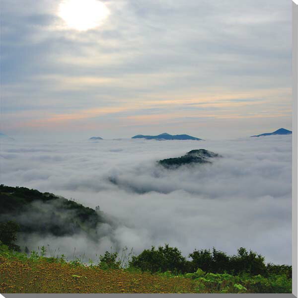 風景写真パネル 北海道 トマム 朝日を浴びた壮大な雲海 展望 山 自然 雄大 奇跡 絶景 幻想的 神秘的 癒やし 臨場感 インテリア 模様替え 雰囲気作り プレゼント ギフト お祝い HOK-74-S20