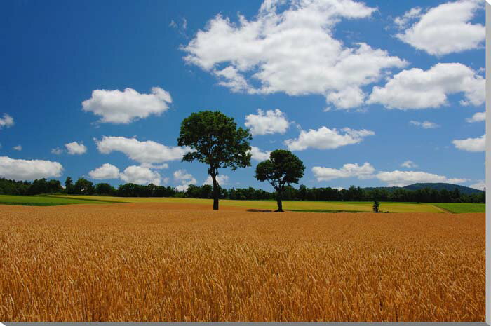 ʼ̿ѥͥ ̳ƻ  ϼ إڤȪ 缫  䤷  ƥꥢ ɾ ɳݤ פ餺 ؤ ʷϵ  ...