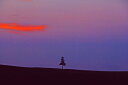 風景写真パネル 北海道 美瑛 夕日の木 夕暮れ アートパネル インテリア 壁飾り 壁掛け 額要らず 模様替え 雰囲気作り 玄関 リビング オフィス ロビー プレ...