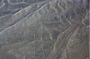 風景写真ポスター 世界遺産 南米 ペルー 果てしなく広がる乾燥地帯に描かれた謎のナスカの地上絵 「サル」 pst-NSK-20