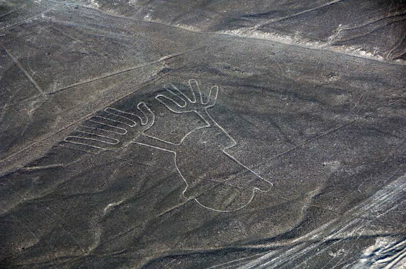 風景写真ポスター 世界遺産 南米 ペルー 果てしなく広がる乾燥地帯に描かれた謎のナスカの地上絵 「手」 pst-NSK-41