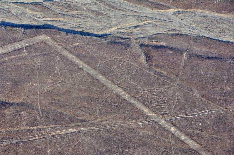 風景写真ポスター 世界遺産 南米 ペルー 果てしなく広がる乾燥地帯に描かれた謎のナスカの地上絵 「クジラ」 pst-NSK-4