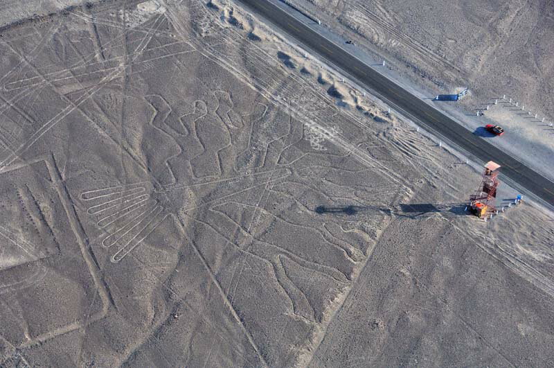 風景写真ポスター 世界遺産 南米 ペルー 果てしなく広がる乾燥地帯に描かれた謎のナスカの地上絵 「木」 pst-NSK-40