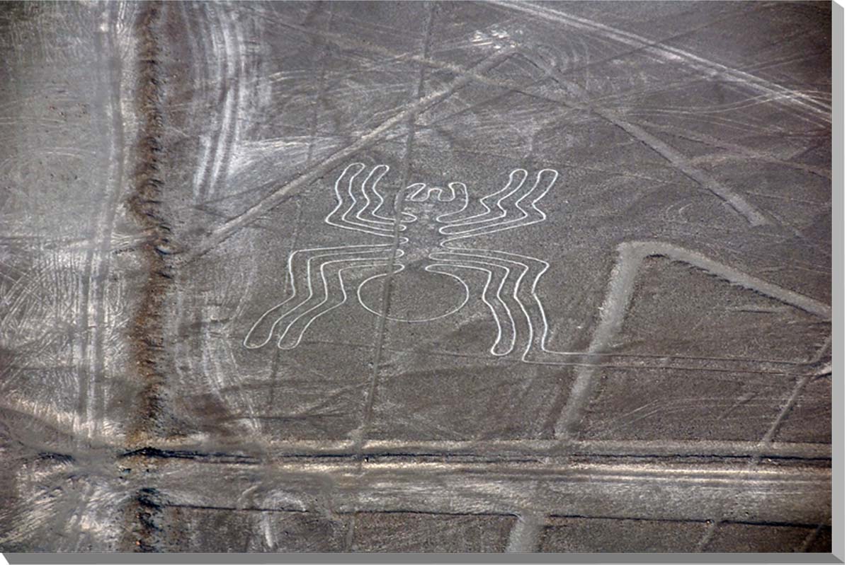 風景写真ポスター　世界遺産！ 南米ペルー、果てしなく広がる乾燥地帯に描かれた謎のナスカの地上絵「蜘蛛 2」 pst-NSK-37