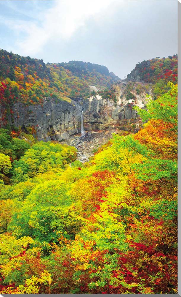 猪苗代 白糸の滝　秋の紅葉　風景写真パネル116.7×72.7cm　BIG-05-M50