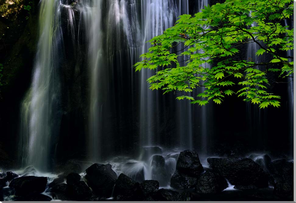 風景写真パネル 福島 猪苗代 達沢不動滝 男滝 インテリア グラフィック ウォールアート パネル 写真 オシャレ 模様替え 雰囲気作り リビング ダイニング オフィス 玄関 プレゼント ギフト 贈答品 返礼 お祝い 結婚 新築 引っ越し 誕生日 記念日 年祝い TK-18-P30