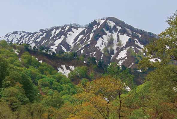 ポストカード 山形 朝日村 02 風景 