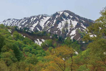 ポストカード5枚で【送料無料】山形朝日村2 ポストカード 絵はがき 山形 朝日 大鳥池への登山道より 風景 写真 ギフト お祝い プレゼント お手紙 旅の思い出 PST-108