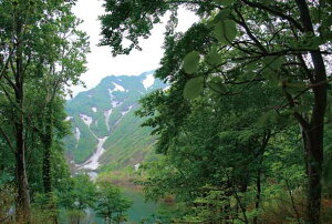 ポストカード 山形 朝日村 タキタロウの棲む大鳥池 幻の巨大魚 風景 写真 絵はがき 葉書 手紙 礼状 挨拶状 グリーティングカード ギフト お祝い プレゼント 旅の思い出 PST-110