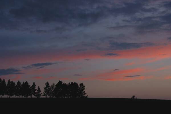 ポストカード 北海道 美瑛 セブンスターの丘の夕焼け 風景 