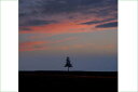 ポストカード 北海道 美瑛 夕焼けと