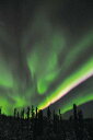 ポストカード5枚で【送料無料】オーロラ ポストカード ハガキ 葉書 はがき アラスカ フェアバンクス 緑 黄 赤の縞色のオーロラ 風景 写真 ギフト お祝い お手紙 PST-159