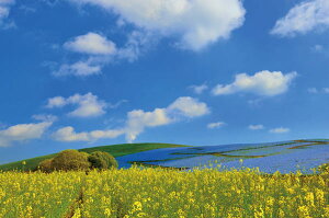 写真パネルのあぁとすぺーすつくば 通販セール