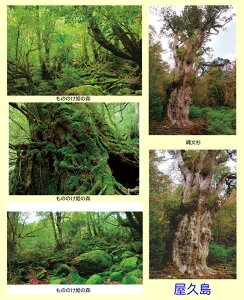 写真パネルのあぁとすぺーすつくば バーゲン