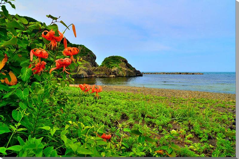 風景写真 パネル 山形 飛島 海とオニユリの花 インテリア アートパネル ディスプレイ ウォールデコ パネル 写真 プレゼント ギフト 贈答品 返礼 お祝い 結...