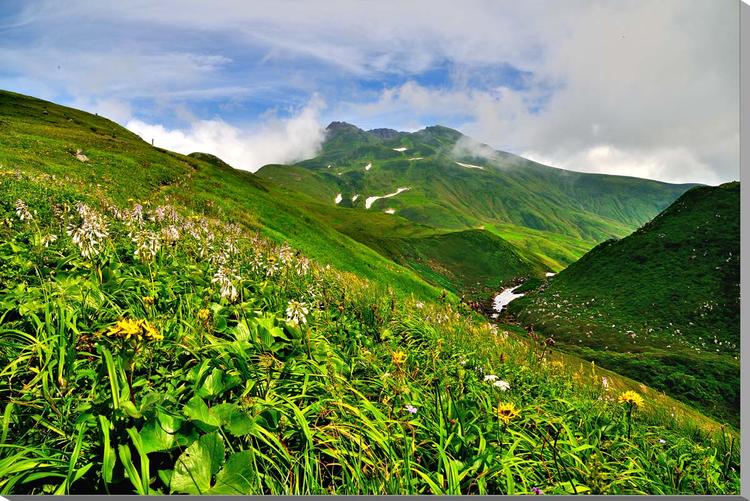 風景写真パネル 山形 鳥海山と花 ボタニカル 高山植物 アートパネル インテリア パネル 写真 ディスプレイ ウォールデコ プレゼント ギフト 贈答品 返礼 お祝い 結婚 新築 引っ越し 誕生日 記念日 年祝い 母の日 父の日 yam-074-m25