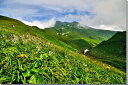 撮影に出かけた年はぐずついた天気が続き、なかなか鳥海山に登れないでいました。ようやく8月3日に梅雨明けが宣言されて8月4日に登山。 高山植物が見ごろを迎える時期に撮影することができました。 【鳥海山 （ちょうかいさん）】 山形県と秋田県の県境にあって、日本海に面している標高2236mの山。 日本百名山・日本百景のひとつです。 またの名を出羽富士とも呼ばれ、山麓周辺の人々の守り神として、古くから崇められてきました。 高山植物も豊富で、訪れた人たちの目を楽しませてくれます。 ◆サイズ：80.3×53×厚さ2.4cm　（M25) ◆重 さ：約1.2kg 壁に負担がかかりません ◆壁取付金具お付けします。 ◆風景写真パネルの説明 丈夫で耐久性に優れ、表面が滑らかな光沢あるきれいな高級写真用紙を使っていますので、風景が綺麗に仕上がります。 見た目が鏡面仕上げで高級感があります。 表面に触れないでください。気を使った扱いが必要です。 ◆写真パネルの発送は ご注文から、2〜3営業日以内に発送。 特注サイズは、10営業日以内に発送致します。鳥海山と花の風景写真パネル ◆風水 絵画より、写真を飾る方が効果が高いと言われます。 ◆絵画と異なりリーズナブルな料金で飾ることができその景色を臨場感たっぷりに感じられます。 当店オリジナルの作品です。パネルの作品はなかなかありませんのでこの機会にぜひ、どうぞ。 パソコンのモニターの色と、実際の商品の色が多少異なることがあります。