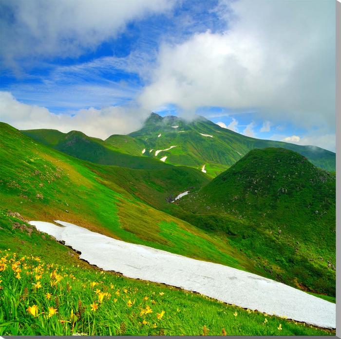 風景写真パネル 山形 鳥海山 ニッコウキスゲ ボタニカル アートパネル インテリア グラフィック パネル 写真 プレゼント ギフト 贈答品 返礼 お祝い 結婚 ...