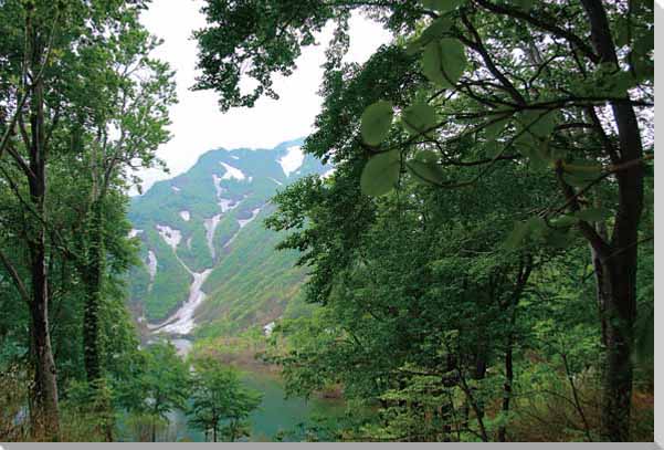 風景写真パネル 山形 朝日村 4 大鳥池 幻の巨大魚 大自然 解放感 癒やし おしゃれ アートパネル インテリア パネル 写真 プレゼント ギフト お祝い 結婚 新築 引っ越し 誕生日 入学 卒業 成人 年祝い 記念日 IYA-110-P30