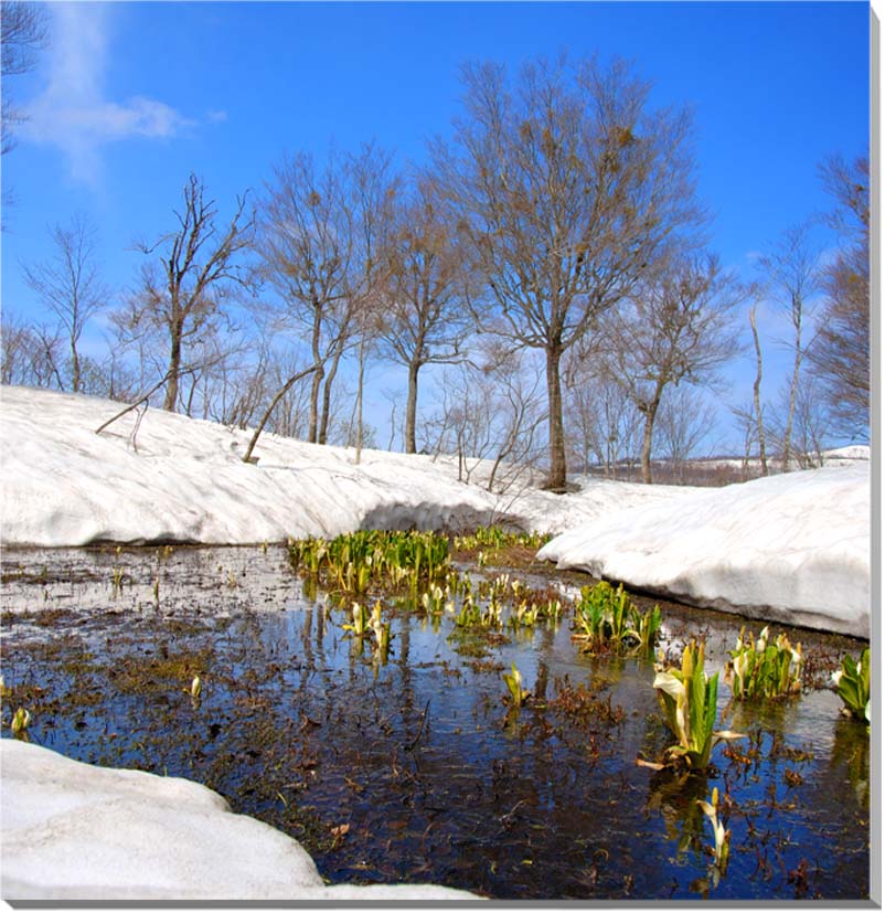 風景写真パネル 山形 月山 インテリア アートパネル パネル 写真 ディスプレイ ウォールデコ 壁掛け 壁飾り 額要らず 模様替え 雰囲気作り 風水 癒やし ヒ...