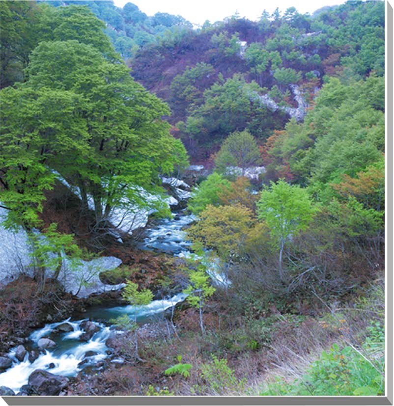 【月山】 月山は湯殿山、羽黒山と一緒に出羽三山として、山岳信仰の山として、古くから知られています。 また、日本百名山、新日本百名山、花の百名山および新・花の百名山のひとつです。 ◆サイズ：72.7×72.7×厚さ2.4cm　(S20) ◆重　さ：約1.2kg 　壁に負担がかかりません ◆取付け金具付き ■風景写真パネルの説明■ 丈夫で耐久性に優れ、表面が滑らかな光沢あるきれいな高級写真用紙を使っていますので、風景が綺麗に仕上がります。 見た目が鏡面仕上げで高級感があります。 表面に触れないでください。気を使った扱いが必要です。 ◆写真パネルの発送は ご注文から、2〜3営業日以内に発送。 特注サイズは、10営業日以内に発送致します。◆風景写真パネル 山形 月山◆ ◆風水 絵画より、写真を飾る方が効果が高いと言われます。 ◆絵画と異なりリーズナブルな料金で飾ることができその景色を臨場感たっぷりに感じられます。 当店オリジナルの作品です。パネルの作品はなかなかありませんのでこの機会にぜひ、どうぞ。 パソコンのモニターの色と、実際の商品の色が多少異なることがあります。