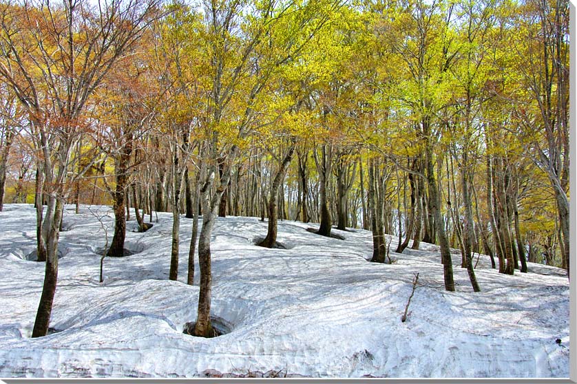 風景写真パネル 山形 月山 側面画像あり インテリア アートパネル 写真 壁掛け 壁飾り 額要らず 模様替え 雰囲気作り 風水 癒やし 旅の思い出 リビング オ...