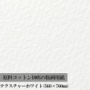 商品説明・100%コットンで保存性に優れた高級版画用紙です・美しい肌目がプリントの価値を高めます・版画、インタリオ、リトグラフ、シルクスクリーンなど・あらゆる技法に適していますサマセットはセントカスバーツ製紙工場で円網抄造されている世界有数の伝統的な版画用紙です。強度、水平性に優れています。商品仕様●サイズ：その他サイズ W760xH560mm●製本：ー●表紙素材：紙●枚数：1枚●用紙：版画用紙 テクスチャーホワイト250g/m2●適用画材：版画 ◎●備考：四方耳付き注意事項※掲載商品の内容は発売開始時のものです。仕様は諸般の事情により予告なく変更することがあります。※商品によっては写真と色が多少異なる場合がございます。予めご了承ください。※当該商品は他店舗と在庫を共有しているため、在庫更新のタイミングにより、万一在庫切れの際はやむをえずキャンセルさせていただく場合がございます。※ゆうパケットは、1点までのご注文が対象となります。システム上の都合により、2点以上ご注文いただきました場合にもゆうパケット選択が可能となっておりますが、宅配便でのお届けとなりますこと、何卒ご了承ください。商品関連キーワード